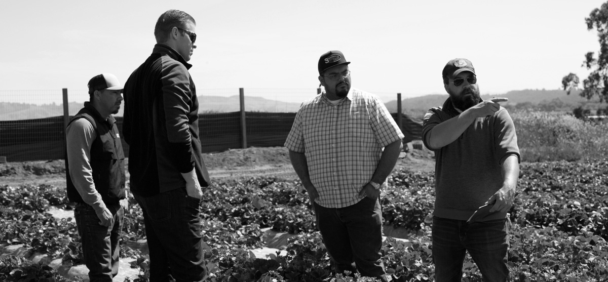 four farming professionals standing and talking in a field