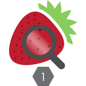strawberry and magnifying glass icon