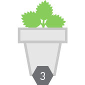 strawberry plant growing in a pot icon